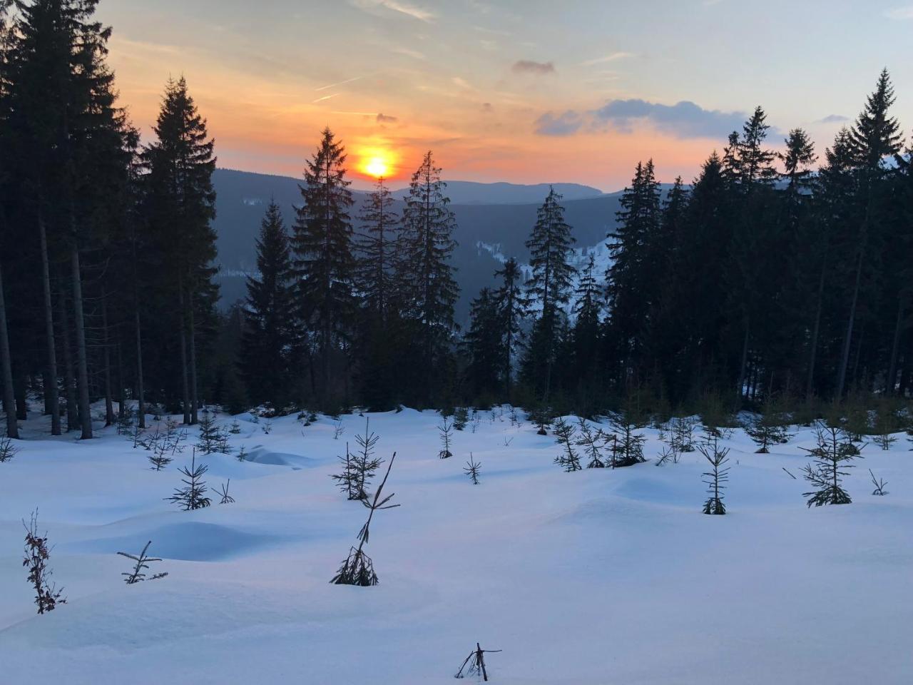 Hotel Hromovka Špindlerŭv Mlýn Dış mekan fotoğraf
